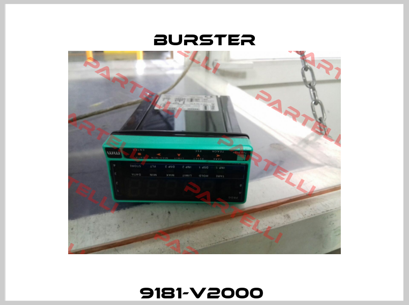 9181-V2000  Burster