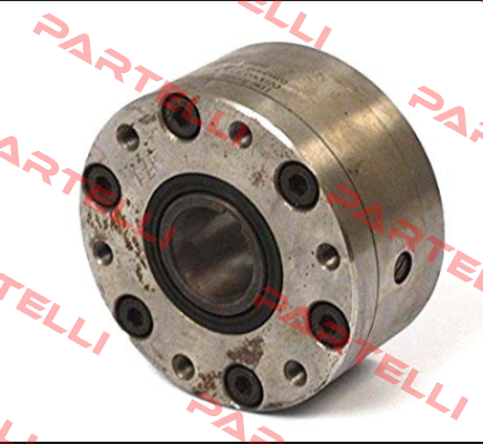 4821-049100-02H33  Ringspann