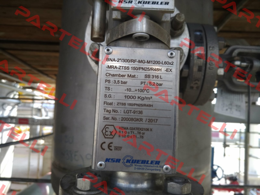 BNA-2"/300/RF-MG-M1.200-L60x2-MRAZTSS150/PN25/R48H-Ex  Ksr Kuebler