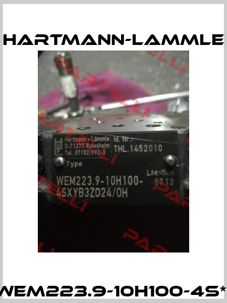 WEM223.9-10H100-4S*  Hartmann-Lammle