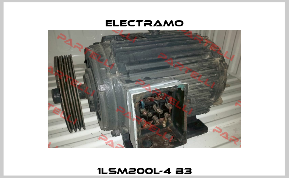 1LSM200L-4 B3 Electramo
