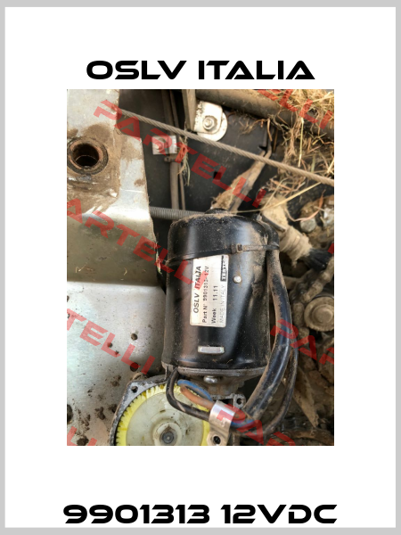 9901313 12VDC OSLV Italia