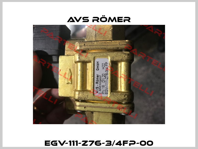 EGV-111-Z76-3/4FP-00 Avs Römer