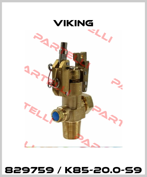829759 / K85-20.0-S9 Viking