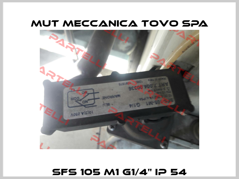SFS 105 M1 G1/4" IP 54 Mut Meccanica Tovo SpA