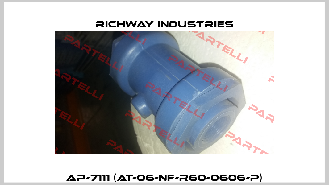AP-7111 (AT-06-NF-R60-0606-P) Richway Industries
