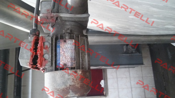T 56B 4P B14   Neri Motori