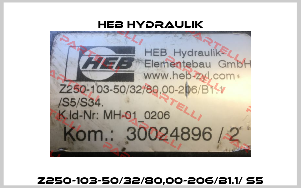 Z250-103-50/32/80,00-206/B1.1/ S5 HEB Hydraulik