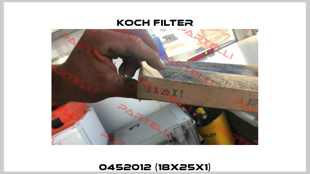 0452012 (18x25x1) Koch Filter