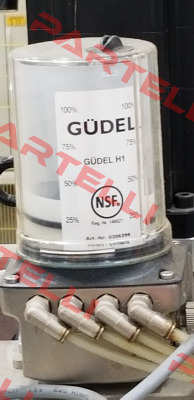 0206399 Güdel