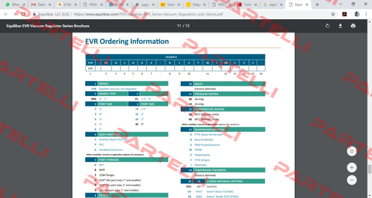 EVR- GSD6SNGX-NSX30T60FXVV Equilibar