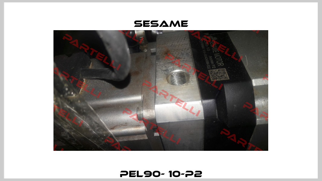 PEL90- 10-P2 Sesame