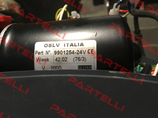 119RIE131 OSLV Italia