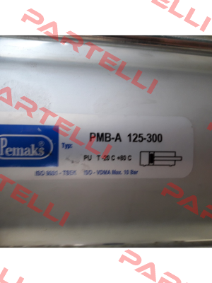 Y-69-041 Pemaks