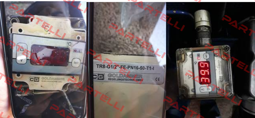 TR 8-G1 / 2 -FE-PN16-100-T1-I Goldammer