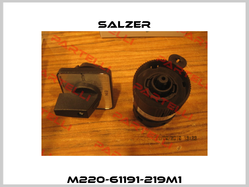 M220-61191-219M1 Salzer
