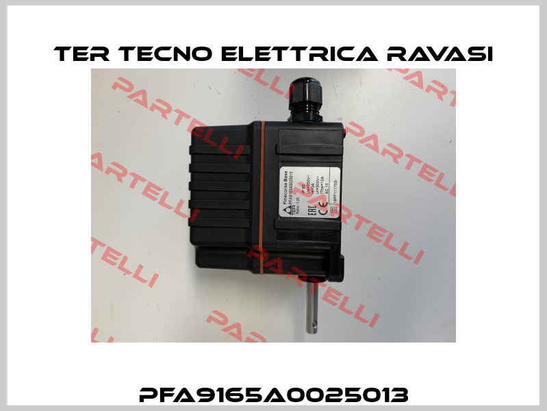 PFA9165A0025013 Ter Tecno Elettrica Ravasi