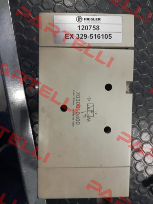 120758 EX 329-516105 Riegler