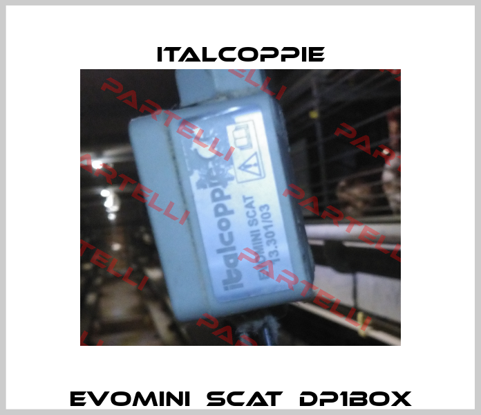 EVOMINI　SCAT　DP1BOX italcoppie