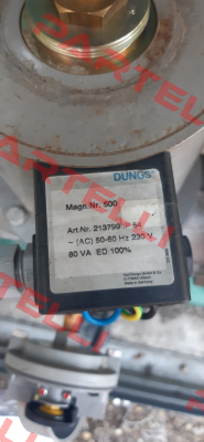 213799 Dungs
