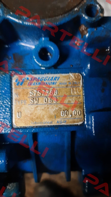 4000889 (Type: SW 063) Motovario