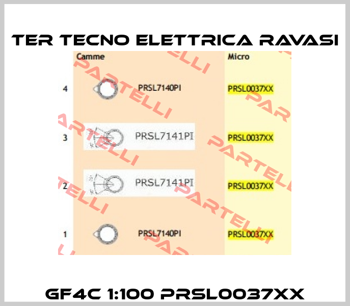 GF4C 1:100 PRSL0037XX Ter Tecno Elettrica Ravasi