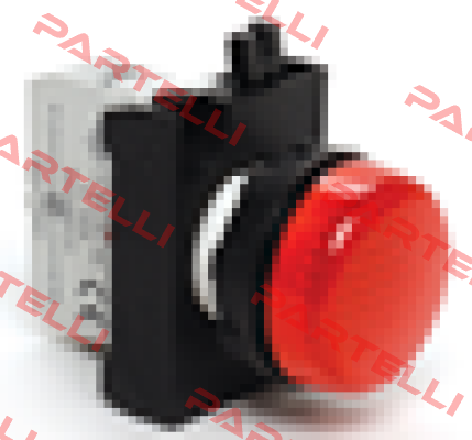 CP060XK Emas