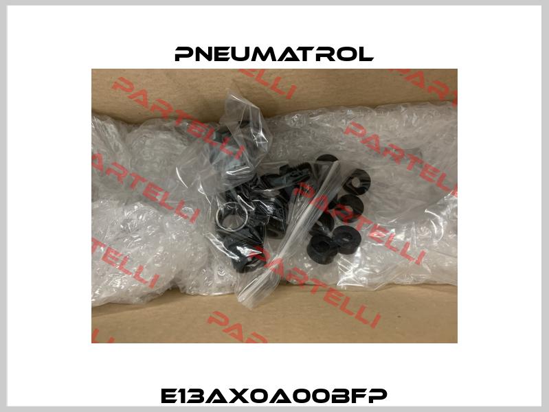 E13AX0A00BFP Pneumatrol