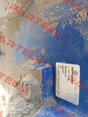 4083751 Motovario