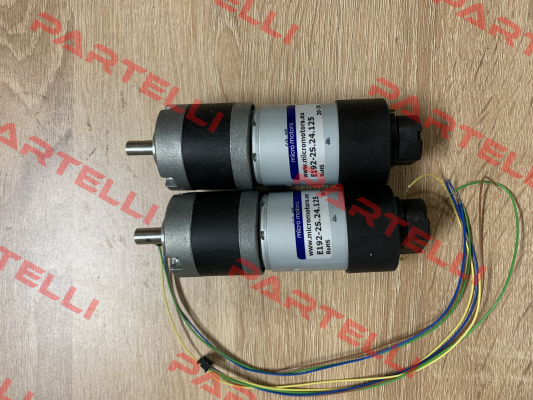 E192-2S.24.125 Micro Motors