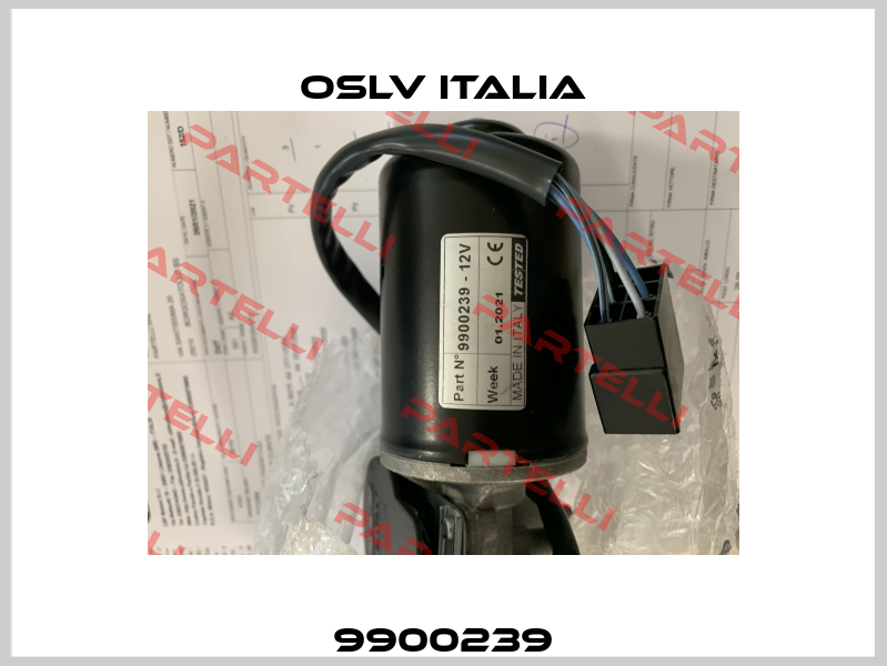 9900239 OSLV Italia