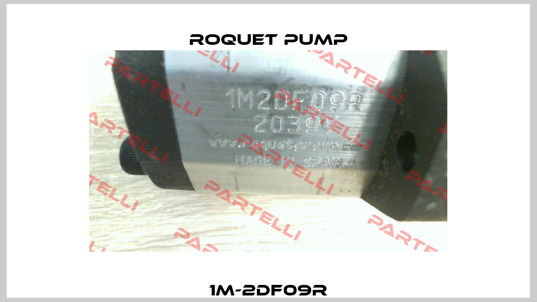 1M-2DF09R Roquet pump