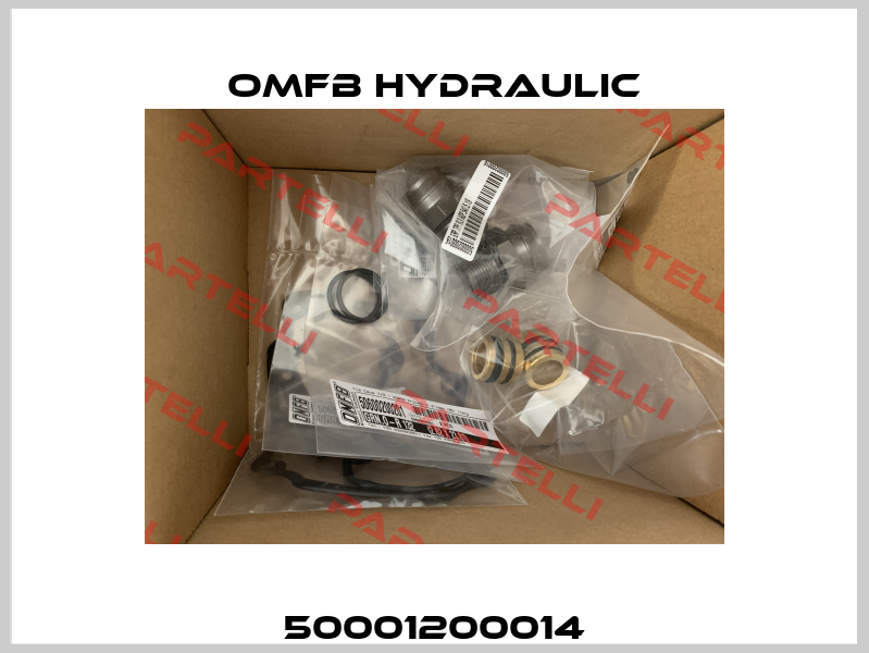 50001200014 OMFB Hydraulic