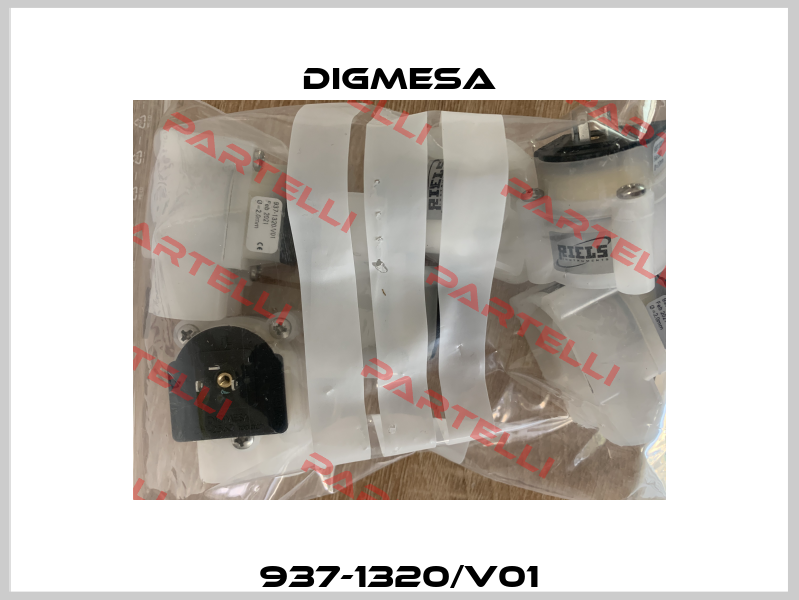 937-1320/V01 Digmesa