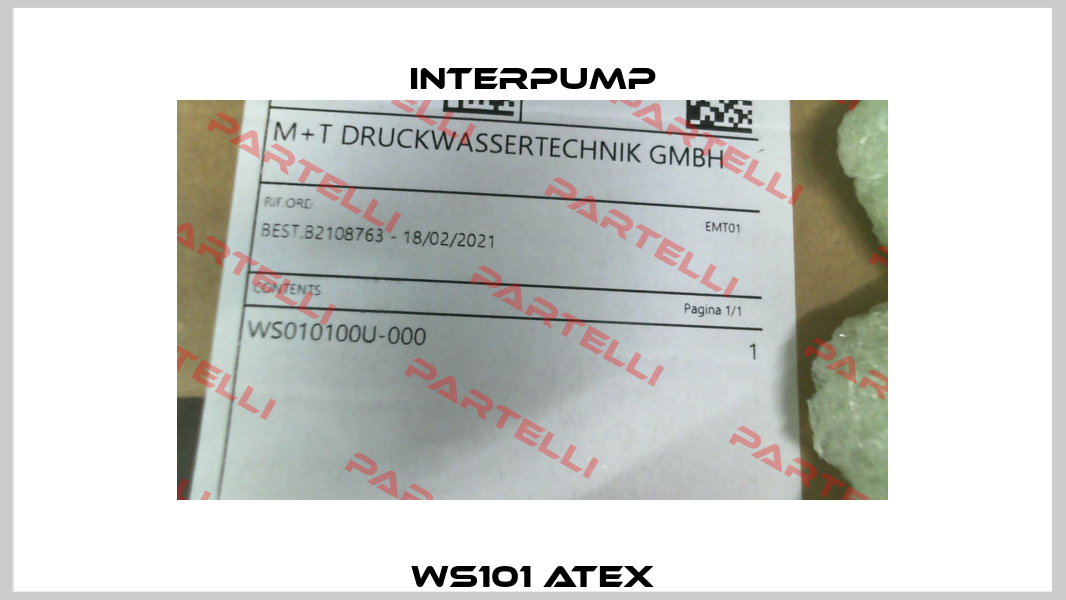 WS101 ATEX Interpump