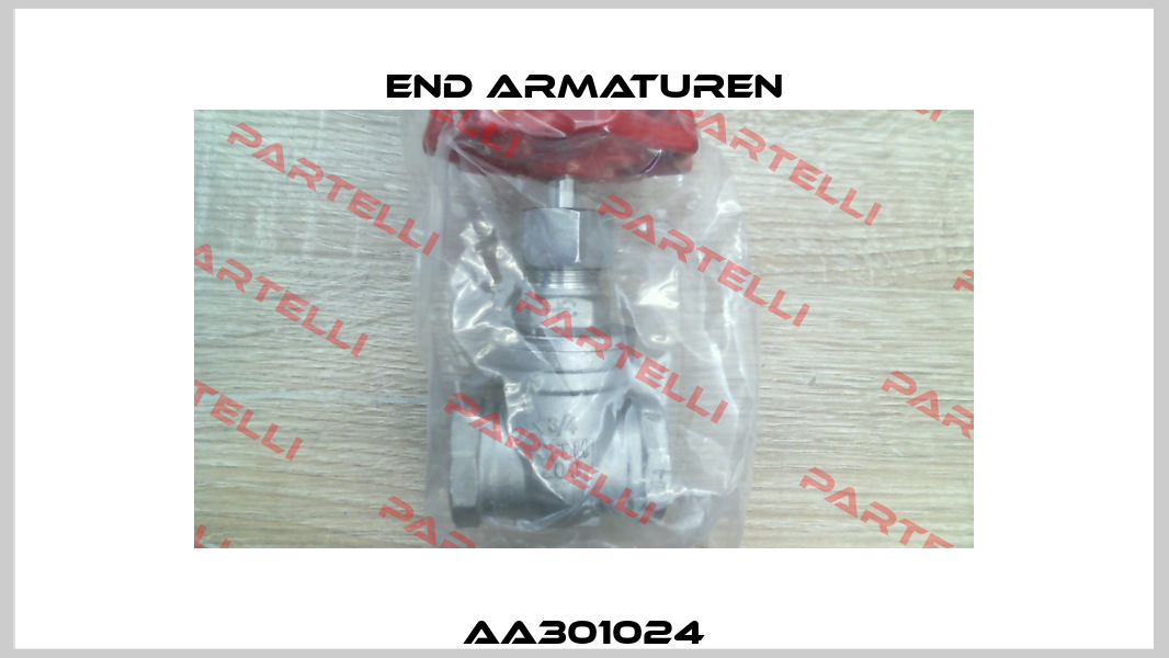 AA301024 End Armaturen