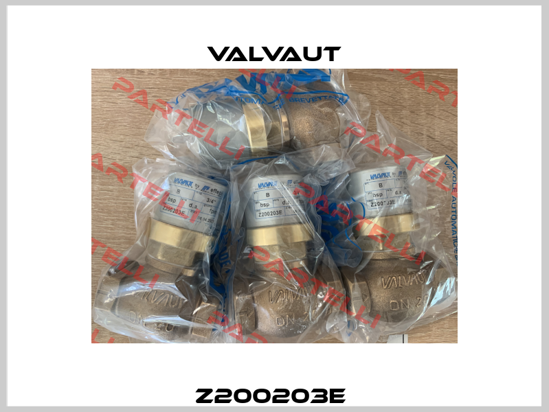 Z200203E  Valvaut