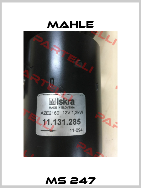 MS 247 Mahle