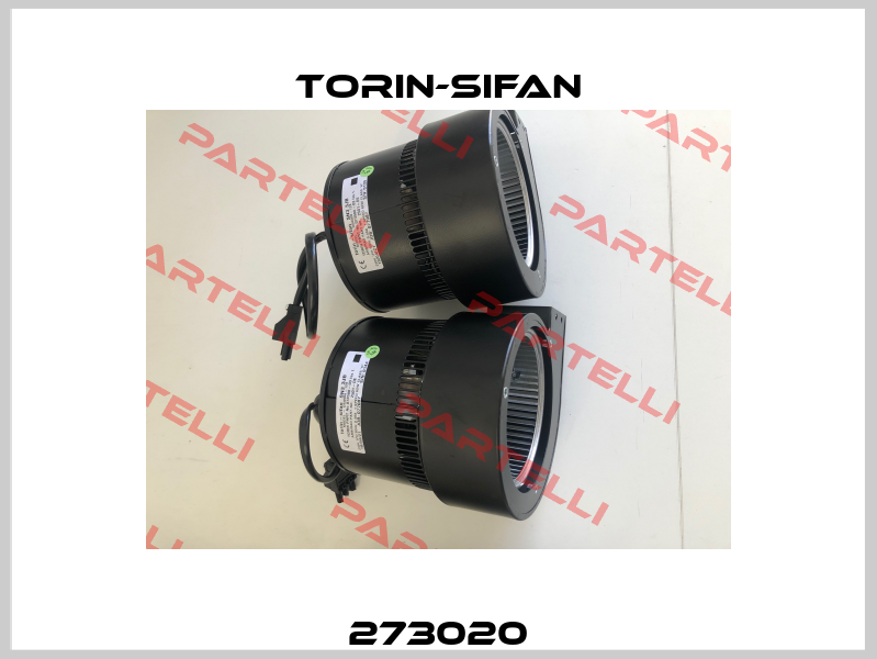 273020 Torin-Sifan