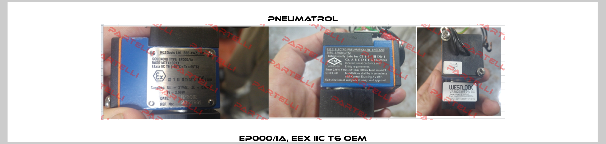 EP000/ia, EEx IIC T6 OEM Pneumatrol