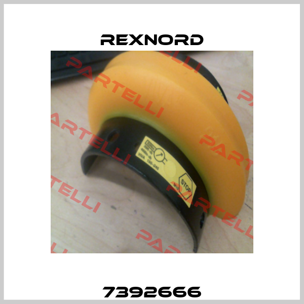 7392666 Rexnord