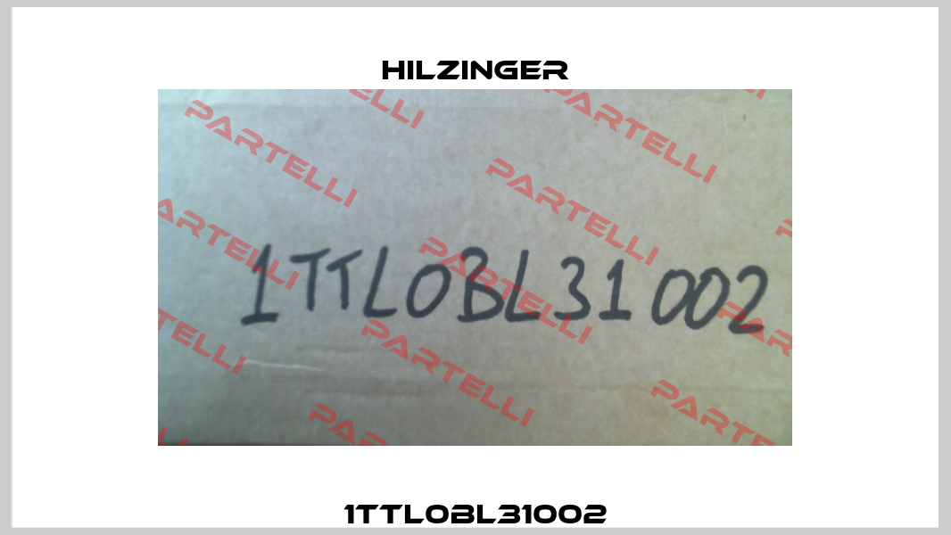 1TTL0BL31002 Hilzinger