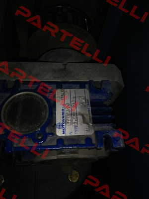 4001751  NMRV030 Motovario