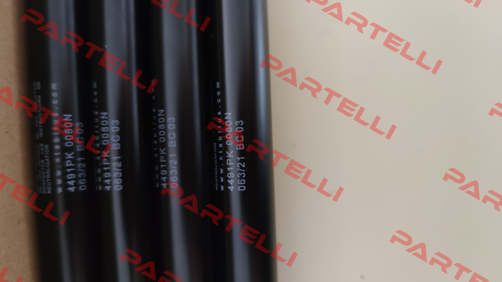 4491PK Stabilus