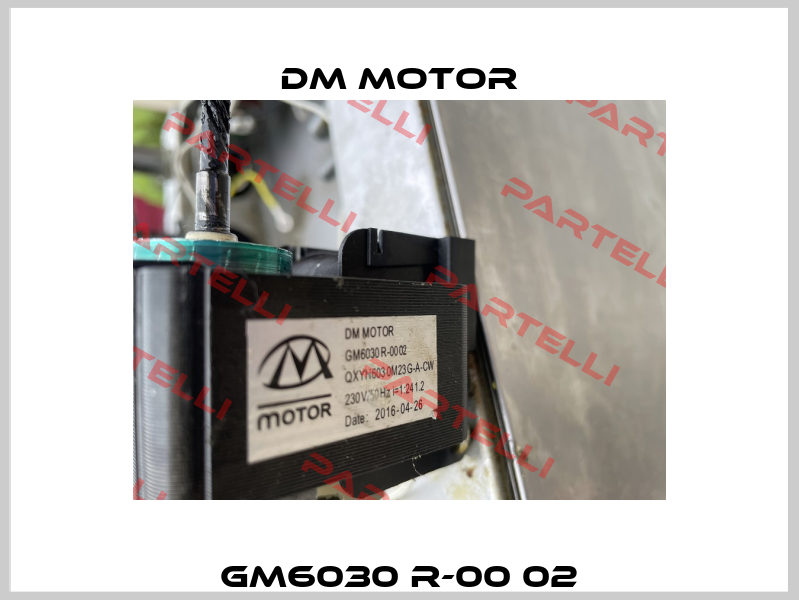 GM6030 R-00 02 DM Motor