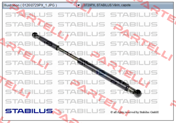 0729PX Stabilus