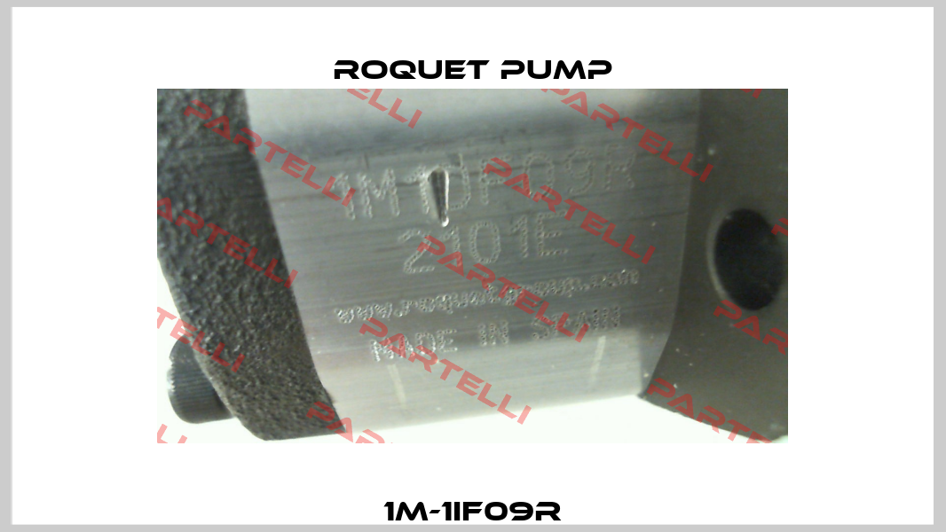 1M-1IF09R Roquet pump