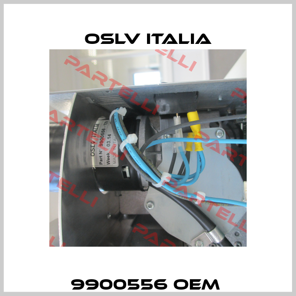 9900556 oem  OSLV Italia