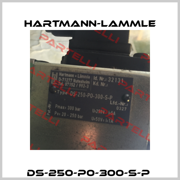 DS-250-P0-300-S-P  Hartmann-Lammle