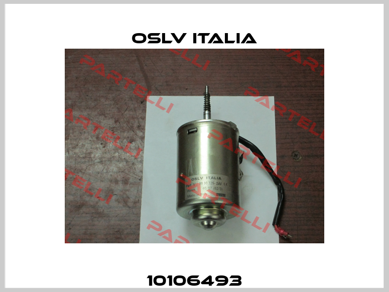 10106493 OSLV Italia